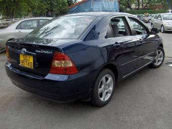 Corolla