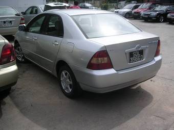 Corolla