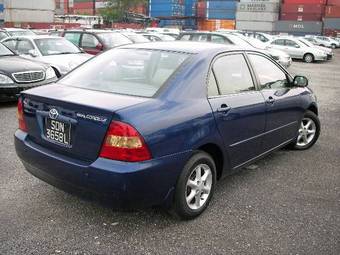 Corolla
