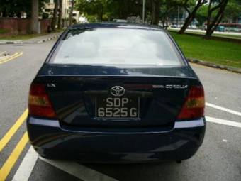 2001 Corolla