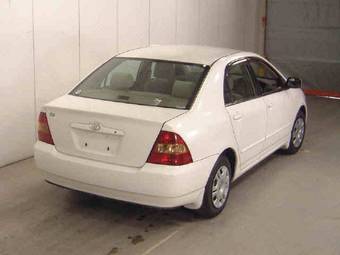 Corolla