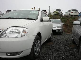 2001 Corolla