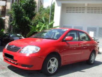 Corolla