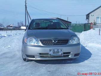 Corolla