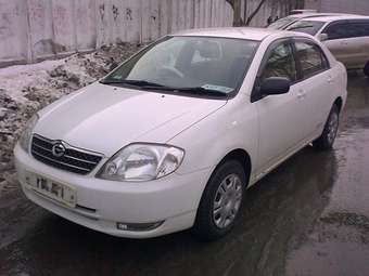 Corolla