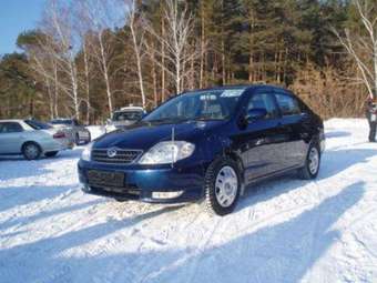 2001 Corolla