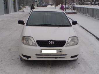 Corolla