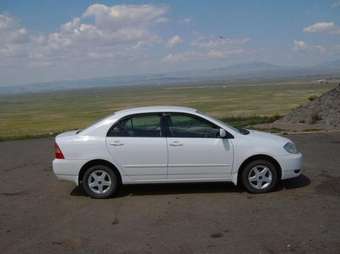 Corolla