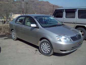 Corolla