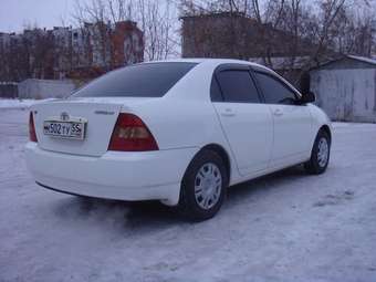 Corolla