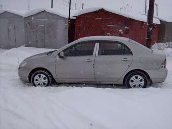 Corolla