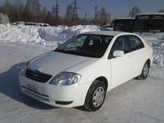 Corolla