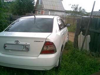 Corolla