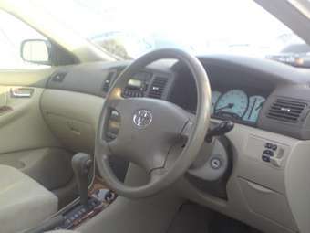 Corolla