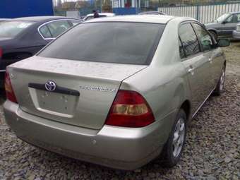 Corolla
