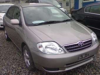 2001 Corolla