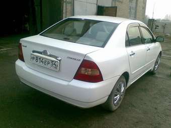 Corolla