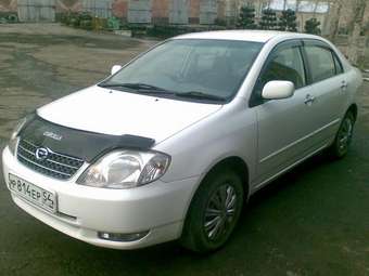 2001 Corolla