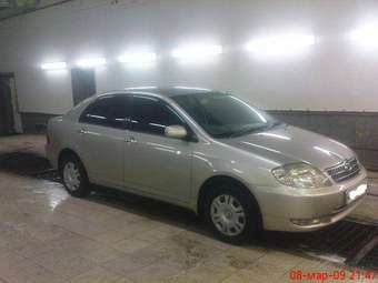 Corolla
