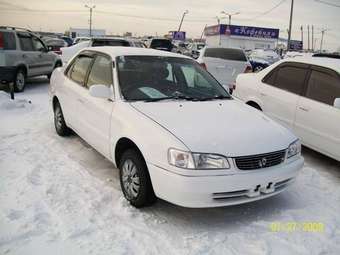 2001 Toyota Corolla