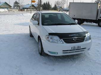 Corolla