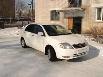 Corolla