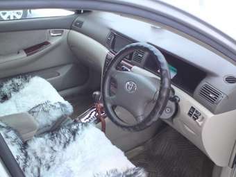 Corolla