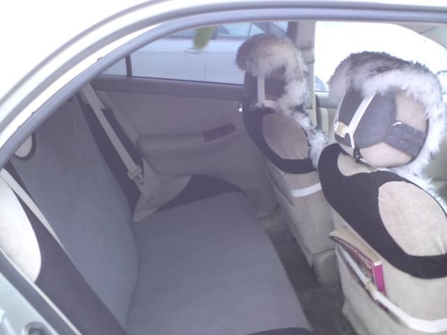 2001 Toyota Corolla