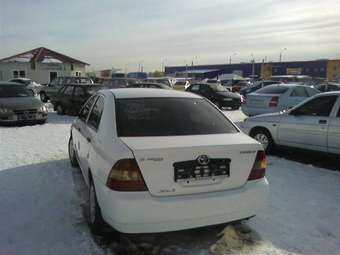 2001 Corolla