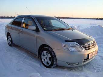 Corolla