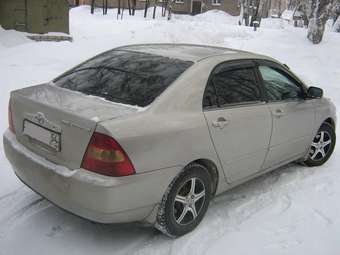 Corolla