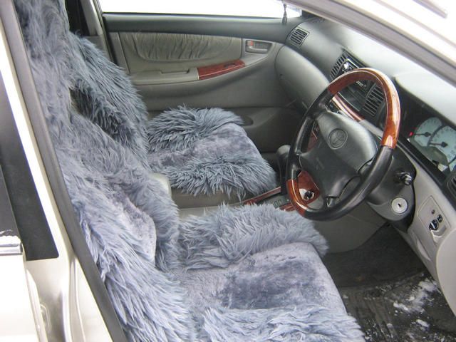 2001 Toyota Corolla