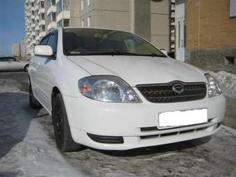 Corolla