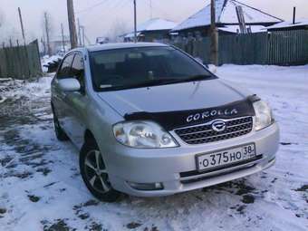 Corolla
