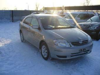 2001 Corolla