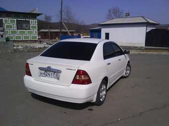 Corolla