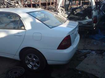Corolla