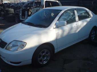 2001 Corolla