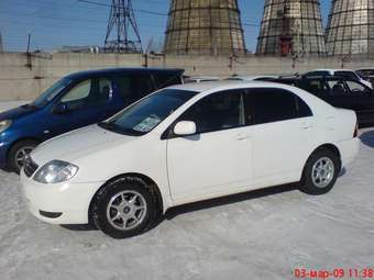 Corolla