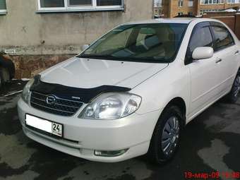 Corolla