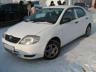 Corolla