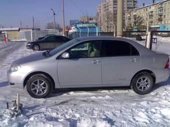 Corolla