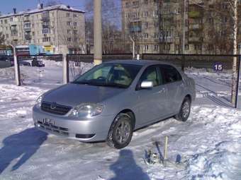 2001 Corolla