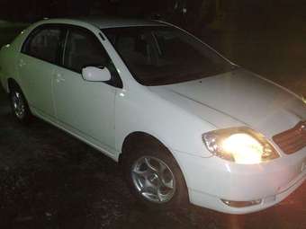 Corolla