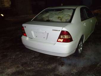 2001 Corolla