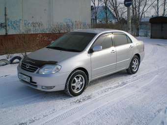 Corolla