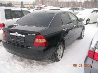 Corolla