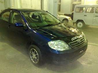 Corolla