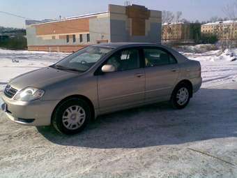 Corolla