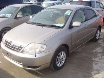 Corolla